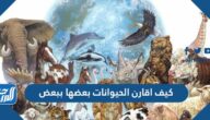 كيف اقارن الحيوانات بعضها ببعض