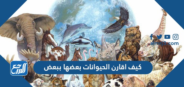 كيف اقارن الحيوانات بعضها ببعض