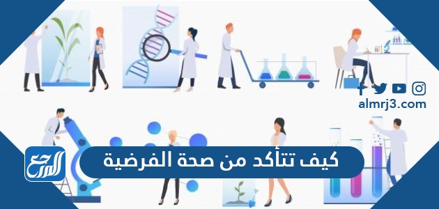 كيف تتأكد من صحة الفرضية