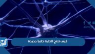 كيف تنتج الخلية خلايا جديدة