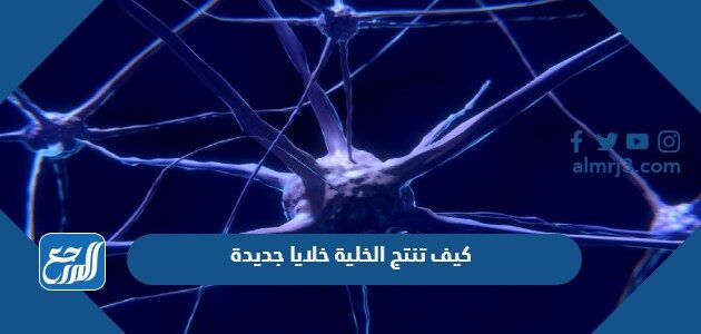 كيف تنتج الخلية خلايا جديدة