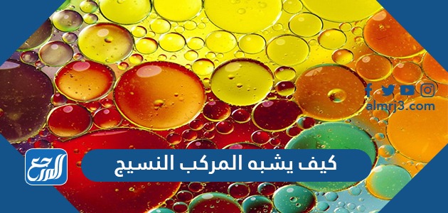 كيف يشبه المركب النسيج