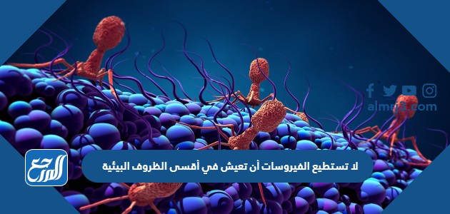 لا تستطيع الفيروسات أن تعيش في أقسى الظروف البيئية