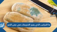 ما التركيب الذي يفرز الانزيمات في عفن الخبز