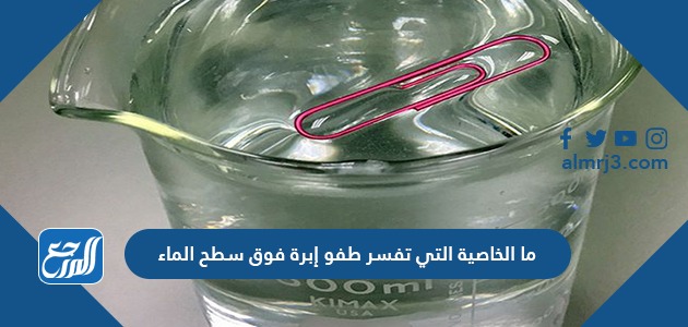 ما الخاصية التي تفسر طفو إبرة فوق سطح الماء