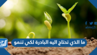ما الذي تحتاج اليه البادرة لكي تنمو