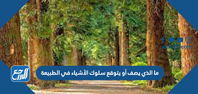 ما الذي يصف أو يتوقع سلوك الأشياء في الطبيعة