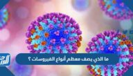 ما الذي يصف معظم أنواع الفيروسات ؟