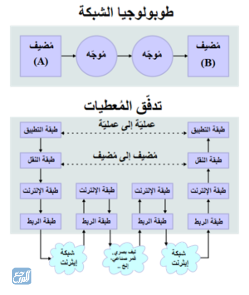 ما الطوبولوجيا المنطقية المستخدمة في الطبقة 2؟