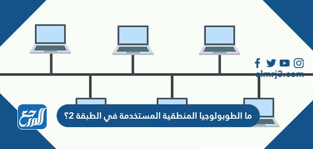 ما الطوبولوجيا المنطقية المستخدمة في الطبقة2؟