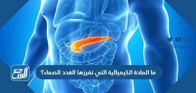 ما المادة الكيميائية التي تفرزها الغدد الصماء؟