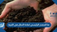 ما المصدر الرئيسي لمادة الدبال في التربة