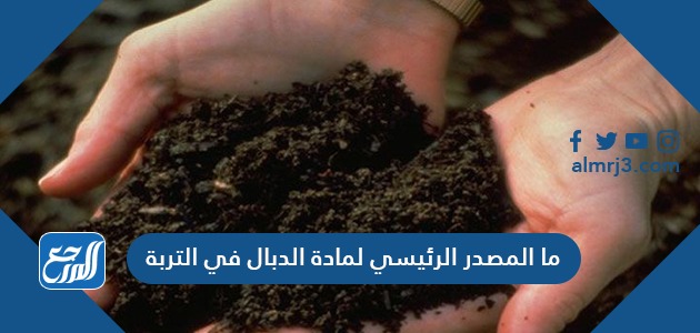 ما المصدر الرئيسي لمادة الدبال في التربة