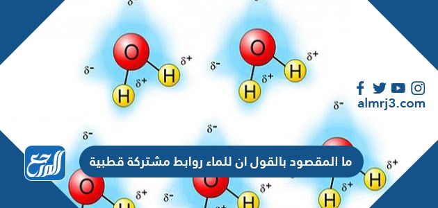 ما المقصود بالقول ان للماء روابط مشتركة قطبية