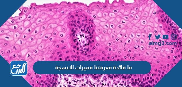 ما فائدة معرفتنا مميزات الانسجة