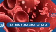 ما هو الجزء الوحيد الذي لا يصله الدم