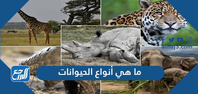 ما هي أنواع الحيوانات