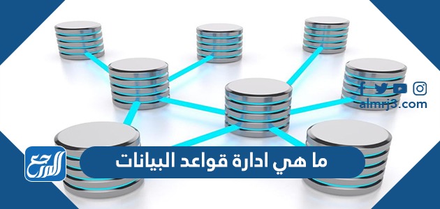 ما هي إدارة قواعد البيانات