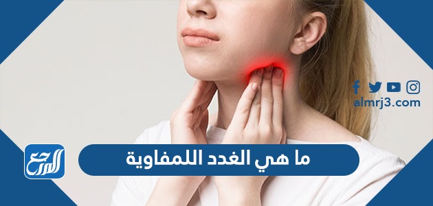 ما هي الغدد اللمفاوية