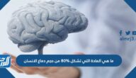 ما هي المادة التي تشكل 80% من حجم دماغ الإنسان