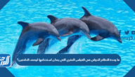 ما وحدة النظام الدولي في القياس المتري التي يمكن استخدامها لوصف الدلافين؟