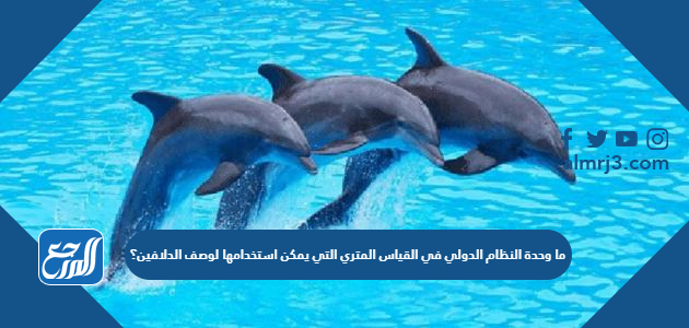 ما وحدة النظام الدولي في القياس المتري التي يمكن استخدامها لوصف الدلافين؟