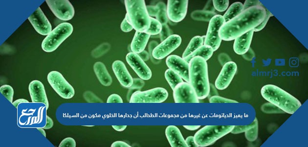 ما يميز الدياتومات عن غيرها من مجموعات الطحالب أن جدارها الخلوي مكون من السيلكا.