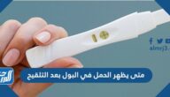 متى يظهر الحمل في البول بعد التلقيح
