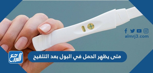 متى يظهر الحمل في البول بعد التلقيح