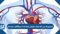 مجموعة من الاعضاء تعمل معا لاداء وظائف محددة