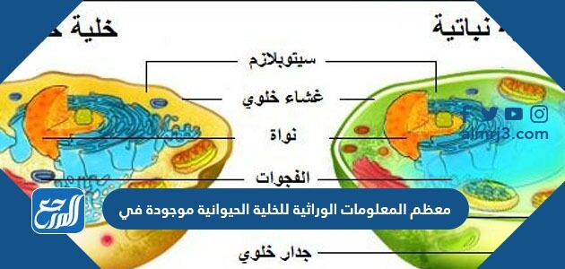 الموجودة في بيت الحيوانية العلم الخلية العضيات 4 صفات