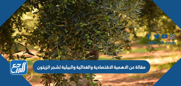 مقالة عن الاهمية الاقتصادية والغذائية والبيئية لشجر الزيتون
