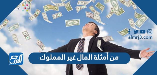من أمثلة المال غير المملوك
