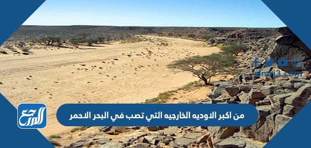 من اكبر الاوديه الخارجيه التي تصب في البحر الاحمر