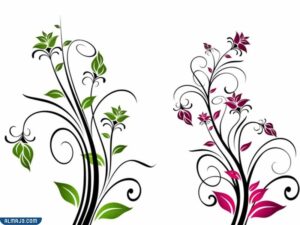 من الاسس التي تقوم عليها الزخرفه الاسلاميه