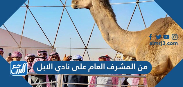 من المشرف العام على نادي الابل