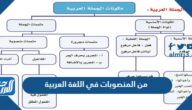 من المنصوبات في اللغة العربية
