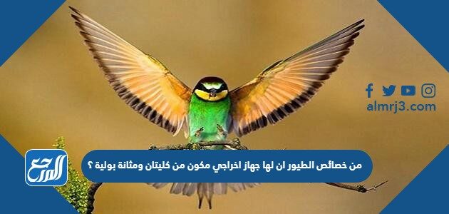 من خصائص الطيور ان لها جهاز اخراجي مكون من كليتان ومثانة بولية ؟