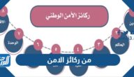 من ركائز الامن