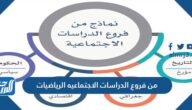 من فروع الدراسات الاجتماعيه الرياضيات
