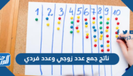 ناتج جمع عدد زوجي وعدد فردي