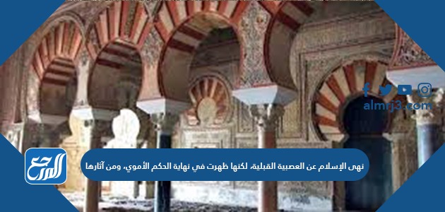 نهى الإسلام عن العصبية القبلية، لكنها ظهرت في نهاية الحكم الأموي، ومن آثارها