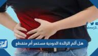 هل ألم الزائدة الدودية مستمر أم متقطع