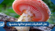 هل الفطريات تصنع غذائها بنفسها ؟