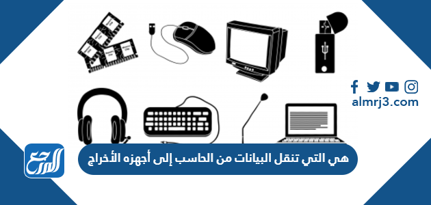 هي التي تنقل البيانات من الحاسب إلى أجهزه الأخراج