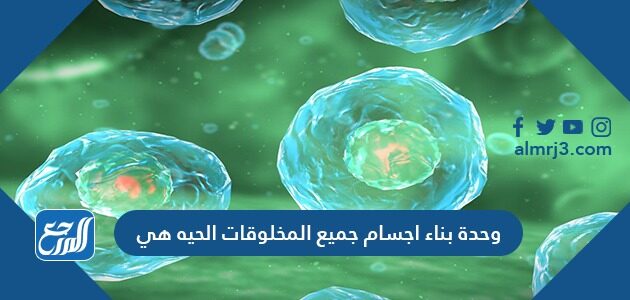 وحدة بناء اجسام جميع المخلوقات الحيه هي