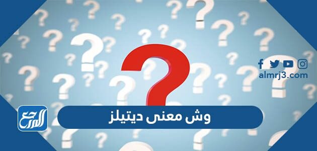 وش معنى ديتيلز