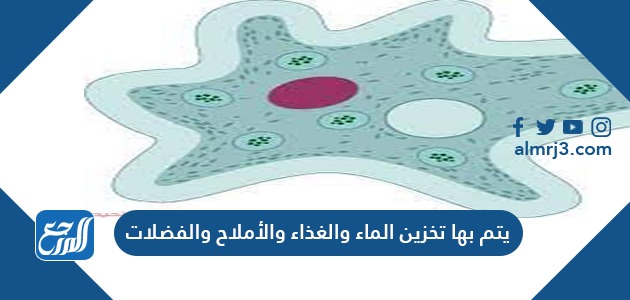 يتم بها تخزين الماء والغذاء والأملاح والفضلات