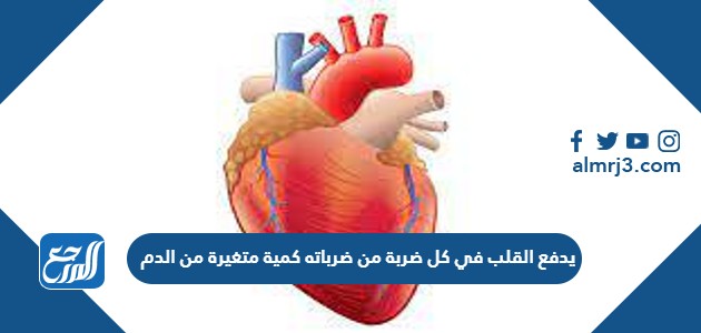 يدفع القلب في كل ضربة من ضرباته كمية متغيرة من الدم