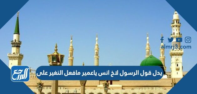 يدل قول الرسول لاخ انس ياعمير مافعل النغير على
